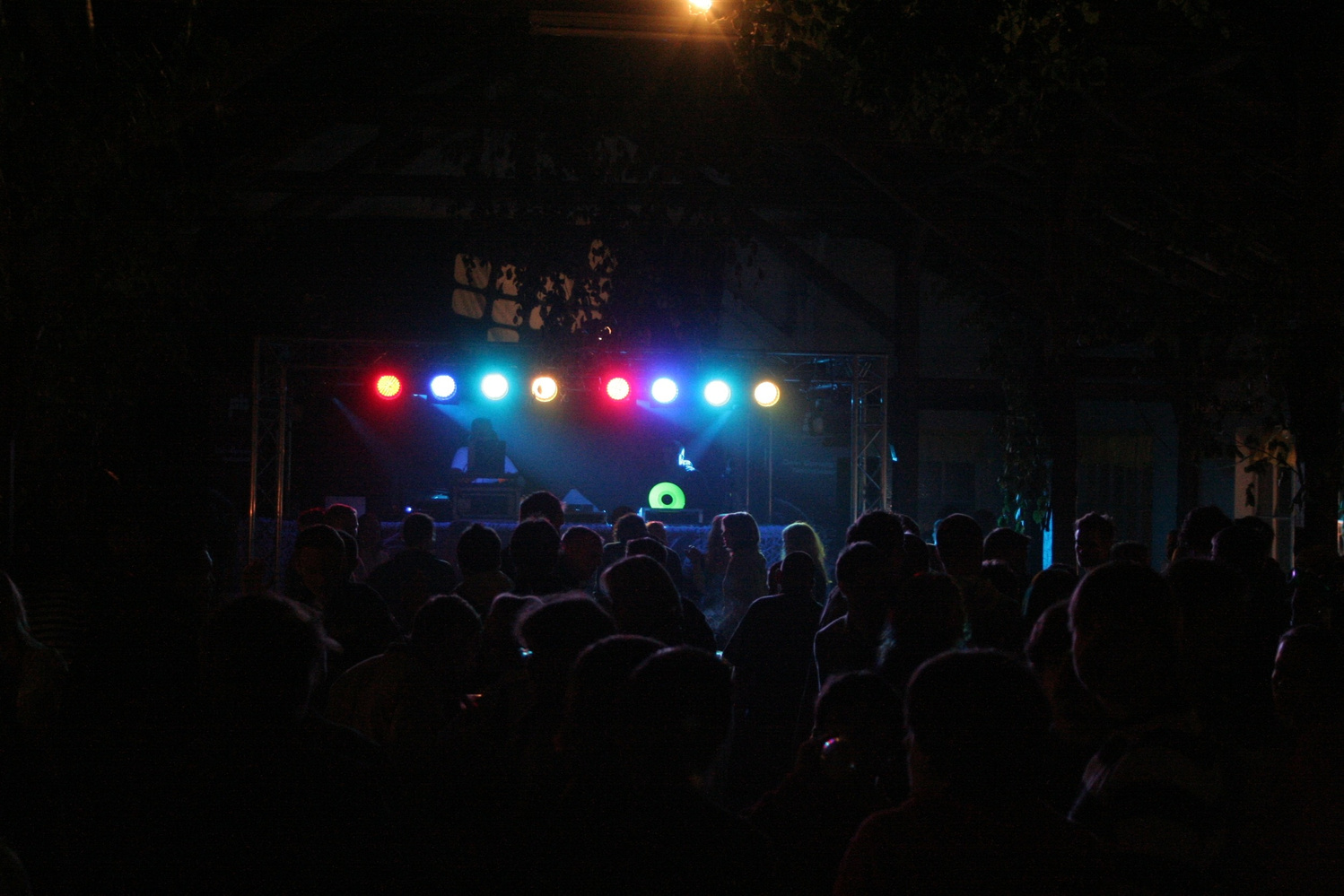 People Listening to a DJ in a Music Festival